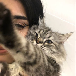 Meet your Posher, Maryam